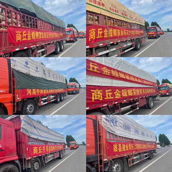 202107301540563606 J9游戏·【中国】官方网站
